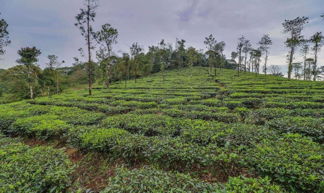 Moss Adams Inn Vagamon Extérieur photo