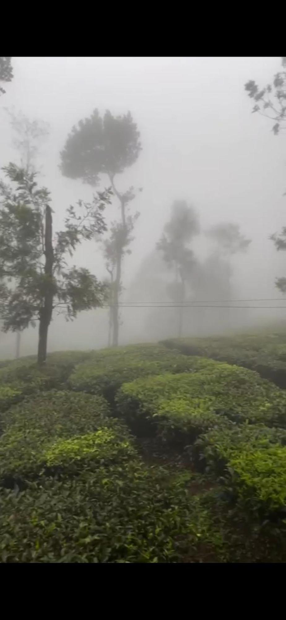 Moss Adams Inn Vagamon Extérieur photo